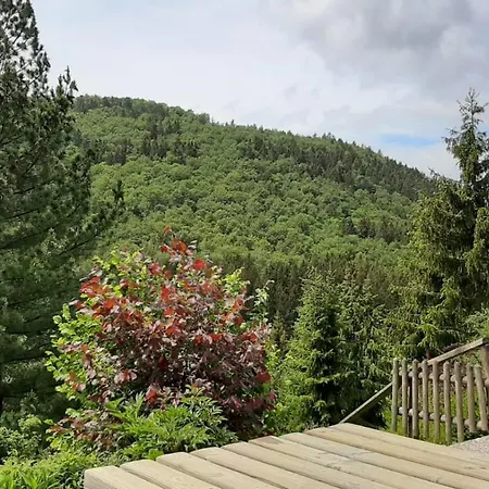 Waldblick Winterberg