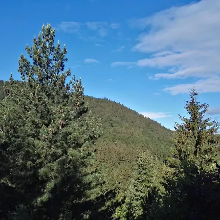 Waldblick Apartament Winterberg