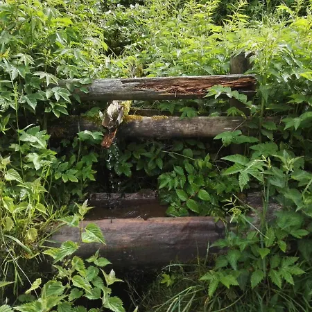 Waldblick 公寓 温特贝格