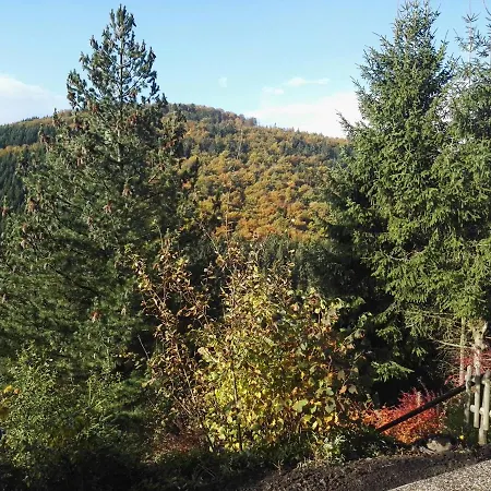 Waldblick * Winterberg