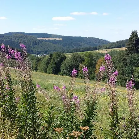 شقة Waldblick وينتربرغ