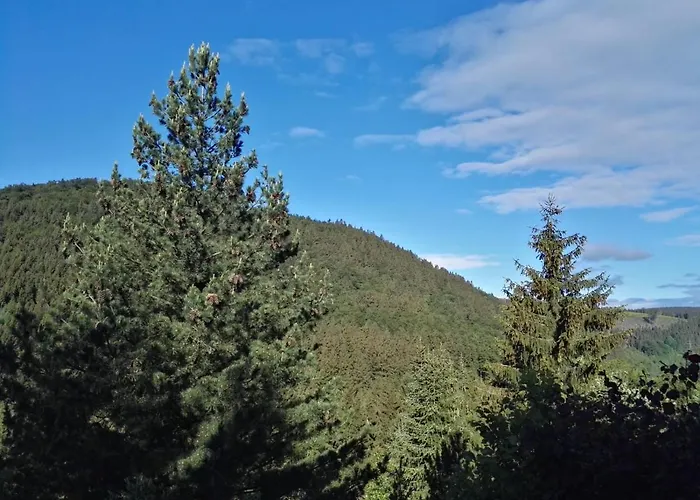 Waldblick 公寓 温特贝格