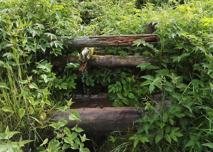 Waldblick 公寓 温特贝格