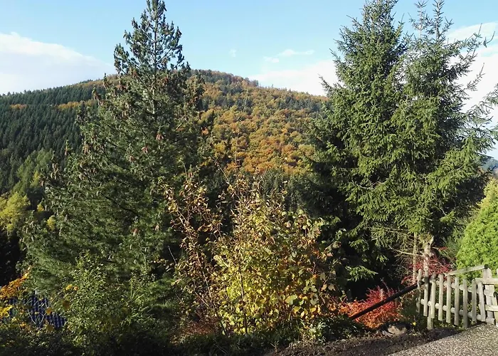 Waldblick * 温特贝格